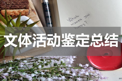 文体活动鉴定总结