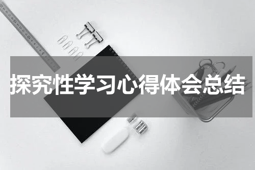 探究性学习心得体会总结