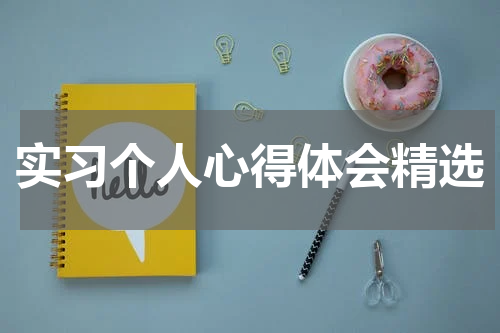 实习个人心得体会精选