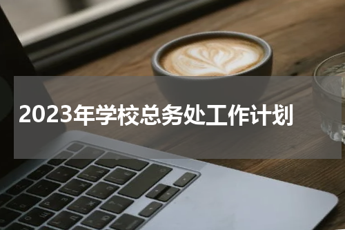 2023年学校总务处工作计划