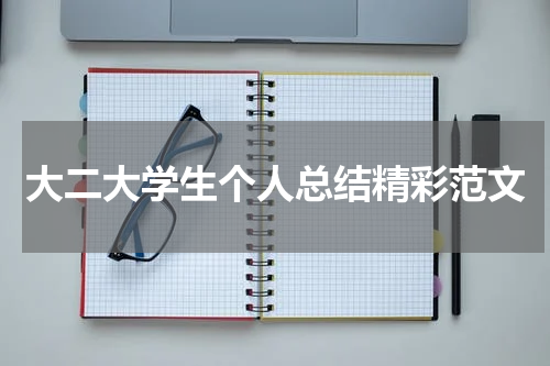大二大学生个人总结精彩范文
