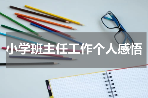 小学班主任工作个人感悟