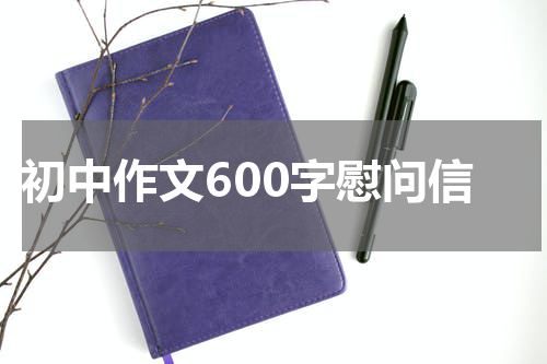 初中作文600字慰问信