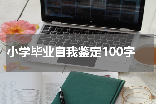 小学毕业自我鉴定100字