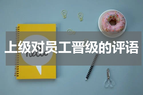 上级对员工晋级的评语