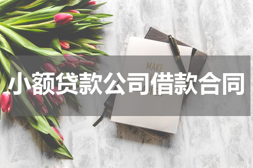 小额贷款公司借款合同