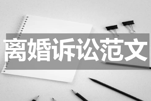 离婚诉讼范文