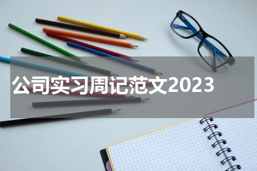 公司实习周记范文2023
