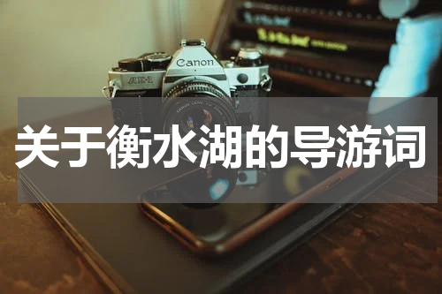 关于衡水湖的导游词