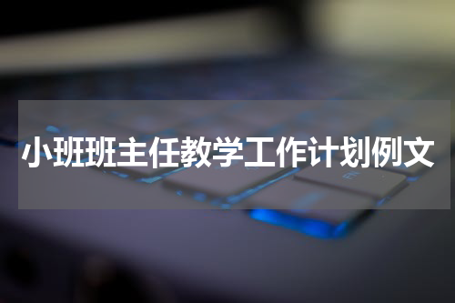 小班班主任教学工作计划例文