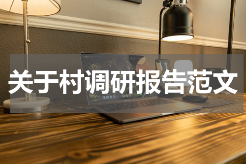 关于村调研报告范文