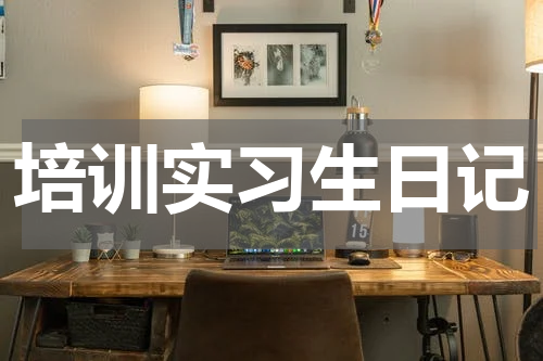 培训实习生日记