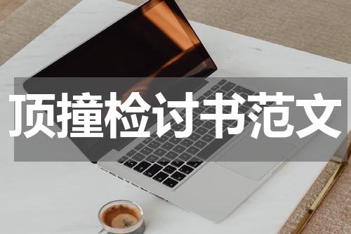 顶撞检讨书范文