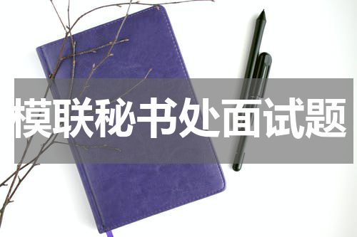 模联秘书处面试题