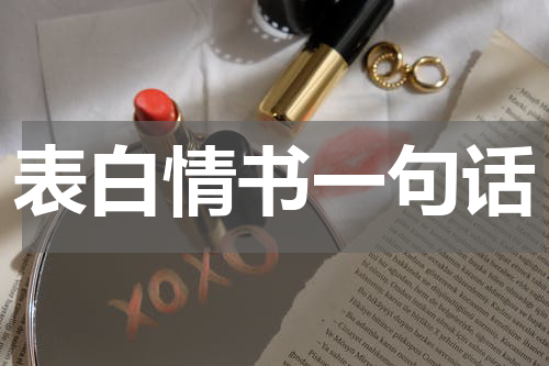 表白情书一句话