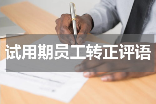 试用期员工转正评语