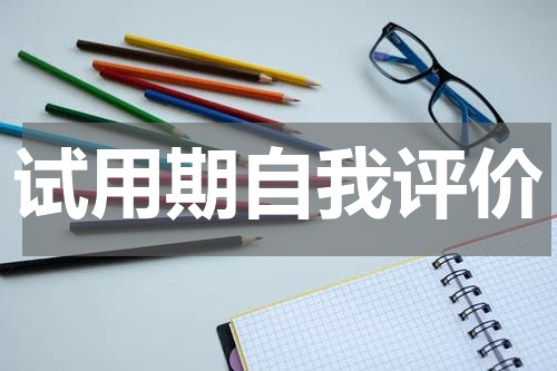 试用期自我评价