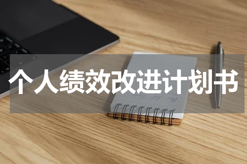 个人绩效改进计划书