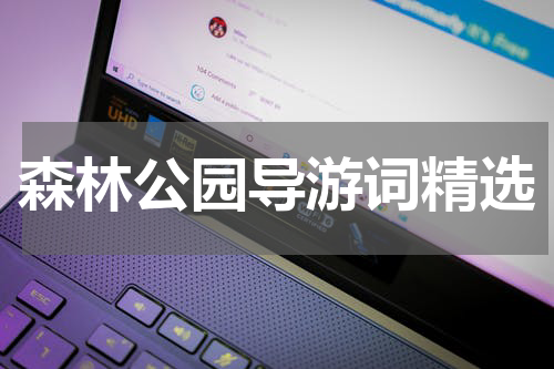 森林公园导游词精选