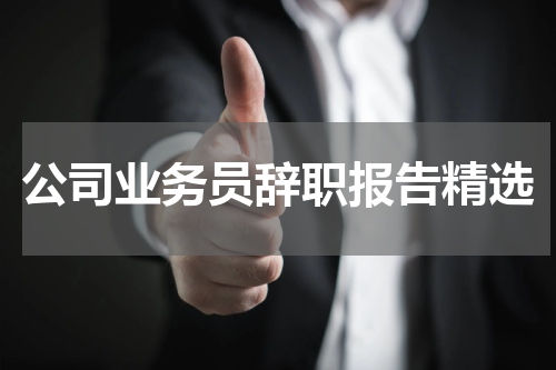 公司业务员辞职报告精选