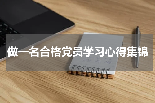 做一名合格党员学习心得集锦