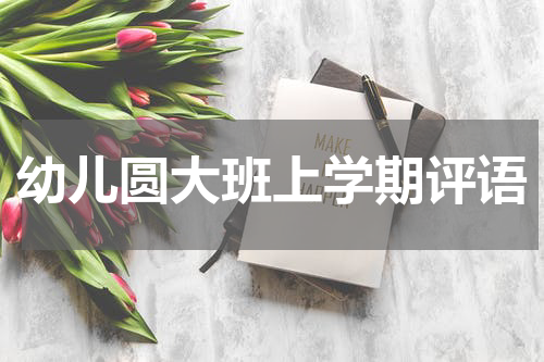 幼儿圆大班上学期评语