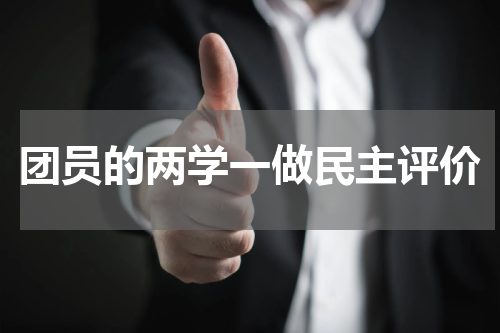 团员的两学一做民主评价