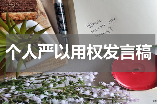 个人严以用权发言稿