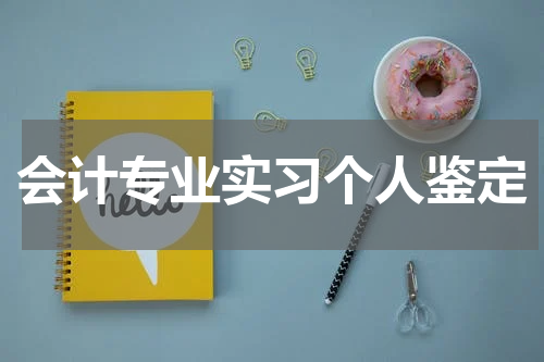会计专业实习个人鉴定