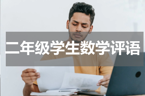二年级学生数学评语