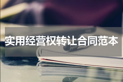 实用经营权转让合同范本