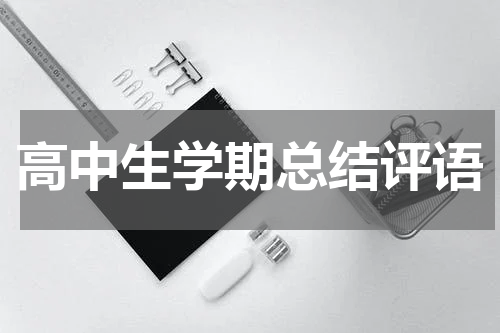 高中生学期总结评语