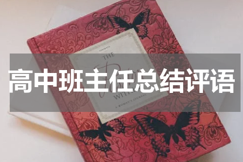 高中班主任总结评语