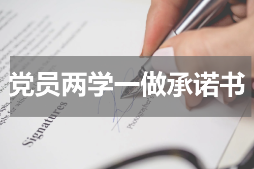 党员两学一做承诺书