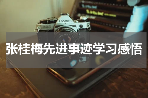 张桂梅先进事迹学习感悟