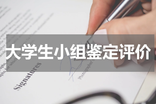 大学生小组鉴定评价