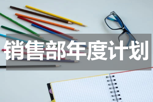 销售部年度计划