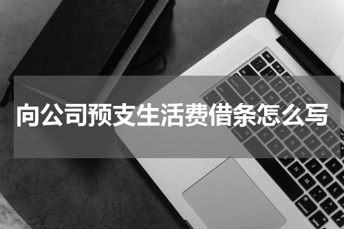 向公司预支生活费借条怎么写