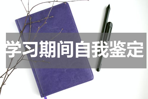 学习期间自我鉴定