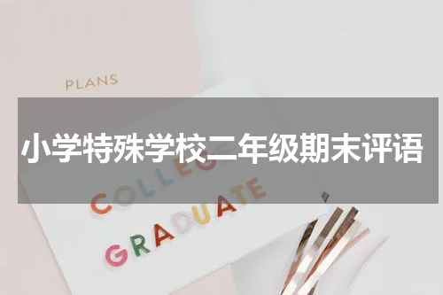 小学特殊学校二年级期末评语