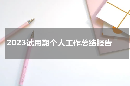 2023试用期个人工作总结报告