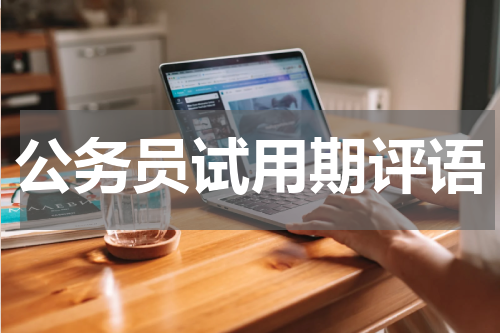 公务员试用期评语
