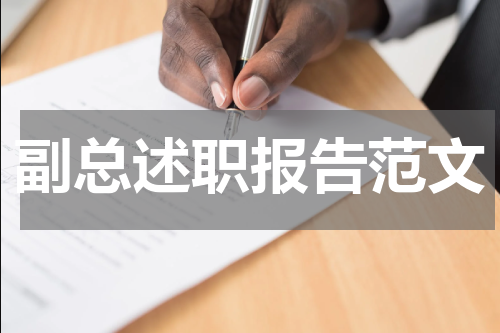 副总述职报告范文