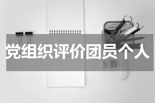 党组织评价团员个人