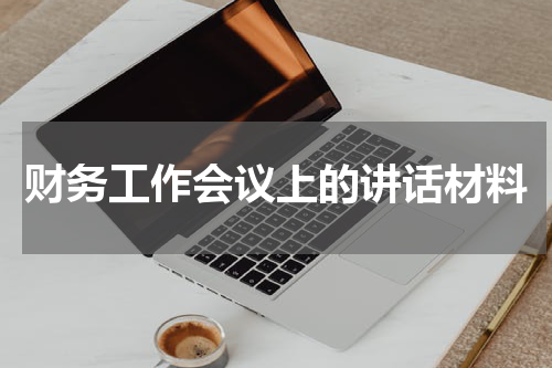 财务工作会议上的讲话材料