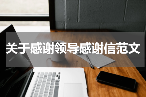 关于感谢领导感谢信范文