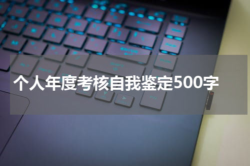 个人年度考核自我鉴定500字