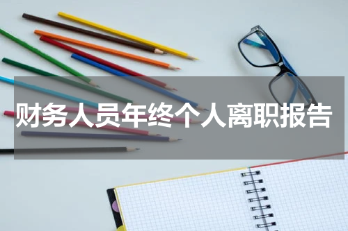 财务人员年终个人离职报告
