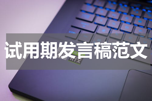 试用期发言稿范文