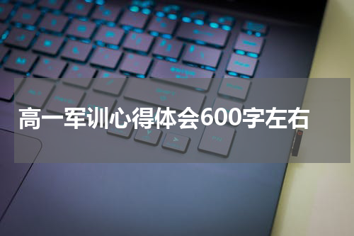 高一军训心得体会600字左右